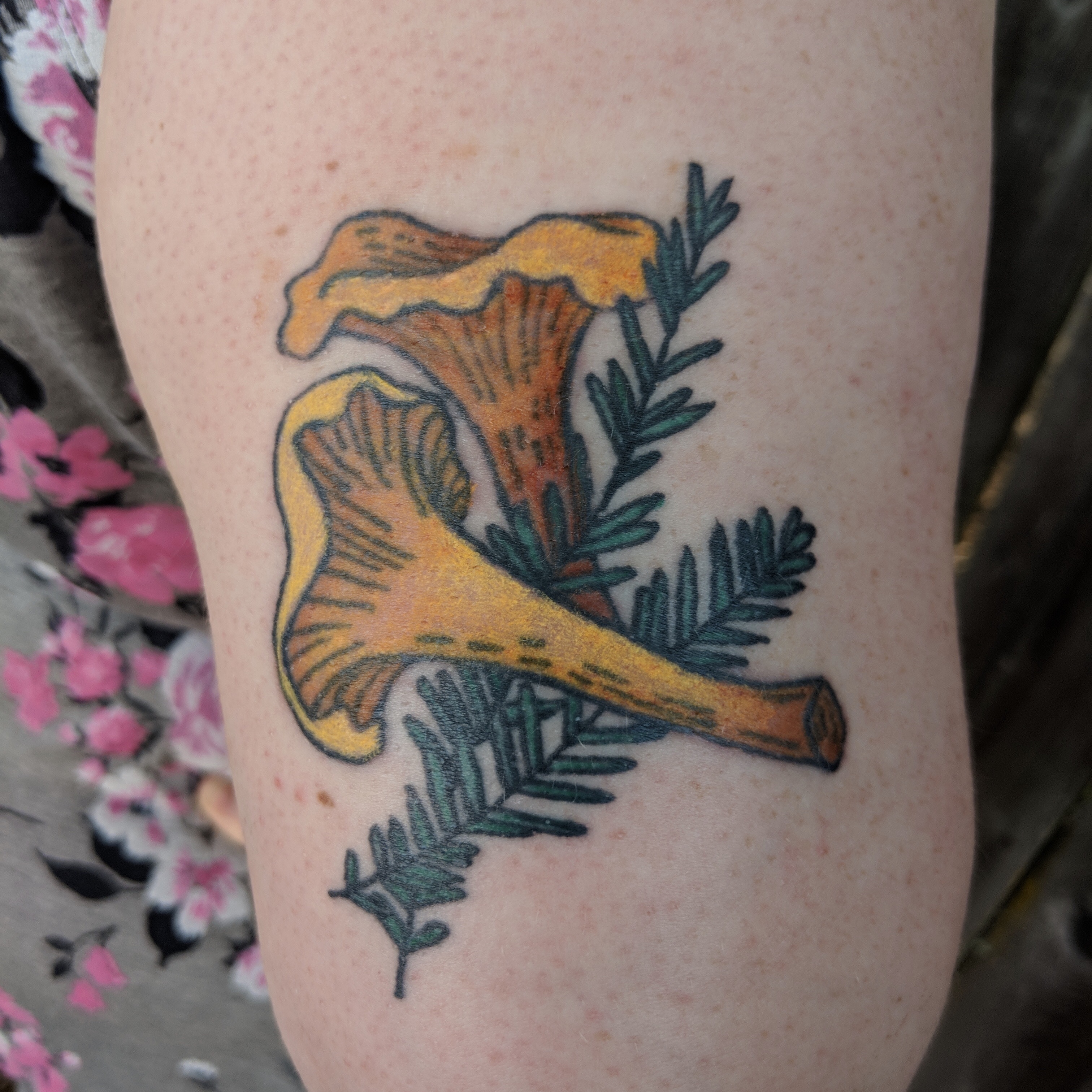 Image of a color tattoo on the back of an arm featuring chanterelles and rosemary